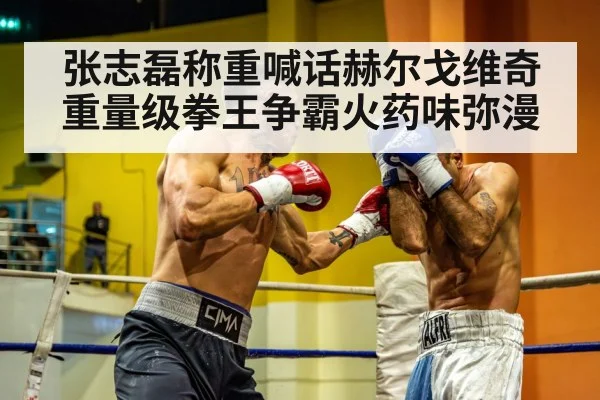 张志磊称重喊话赫尔戈维奇 重量级拳王争霸火药味弥漫