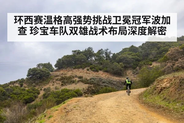 环西赛温格高强势挑战卫冕冠军波加查 珍宝车队双雄战术布局深度解密