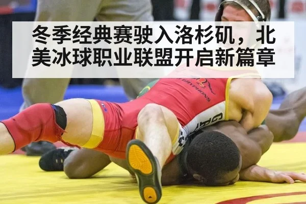 冬季经典赛驶入洛杉矶,北美冰球职业联盟开启新篇章